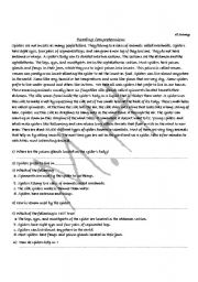 English Worksheet: Reading Comprehensions