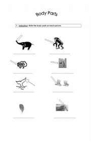 English worksheet: Body Parts