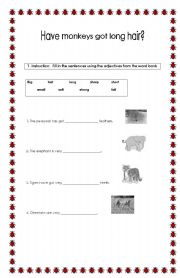 English worksheet: Adjectives and Animals