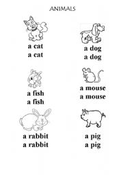 English worksheet: ANIMALS