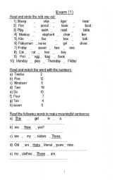 English Worksheet: exam