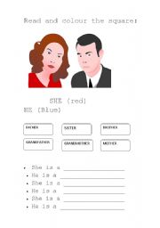 English worksheet: He - She