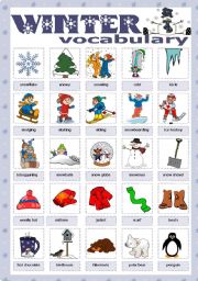 English Worksheet: Winter vocabulary