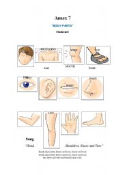 English Worksheet: FLASHCARD BODY PARTS