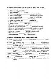 English Worksheet: Revision on Possessives