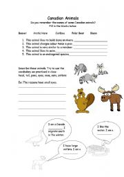 English worksheet: canadian animals