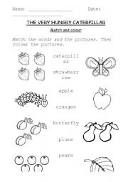 English Worksheet: The Very Hungry Caterpillar Match and Color