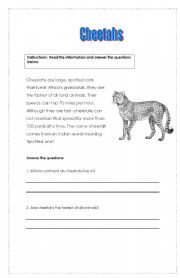 English Worksheet: Cheetahs Reading Comprehension