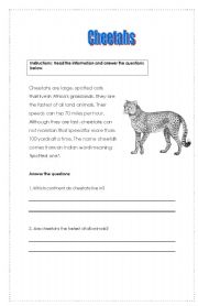 Cheetahs Reading Comprehension