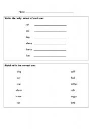 English worksheet: Animals & their Babies