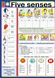 English Worksheet: BODY: Five senses