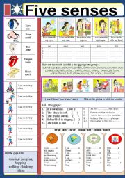 English Worksheet: BODY: Five senses