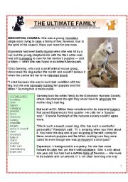 A Christmas Tale:  Esperanza, the Ultimate Mother Dog (4 pgs. plus KEY)