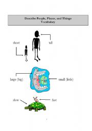 English worksheet: apearance