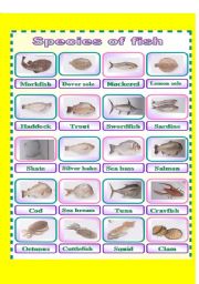 English Worksheet: pctionary different species of fish