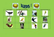 English Worksheet: Birds 1/5