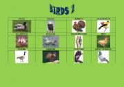 English Worksheet: Birds 2/5