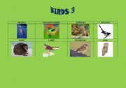 English Worksheet: Birds 3/5