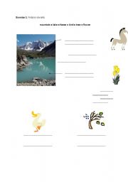 English worksheet: mountain ● lake ● horse ● bird ● tree ● flower