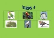 English Worksheet: Birds 4/5