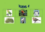 English worksheet: Birds 4/5