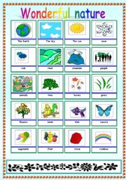 English Worksheet: Nature pictionary