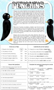 English Worksheet: PENGUINS - READING COMPREHENSION + 4 DIFFERENT ACTIVITIES