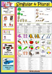 English Worksheet: Singular and Plural