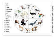 English Worksheet: animals