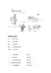 English Worksheet: Verb to be