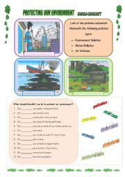 English Worksheet: Protecting Our Environment- Should/Shouldnt