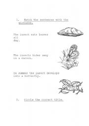 English worksheet: Dveloping Sequnce