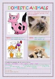 English Worksheet: PETS 