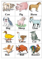 English Worksheet: farm animal