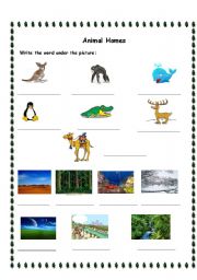 English worksheet: animals