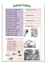 English Worksheet: Animal homes