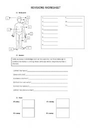 revisions worksheet