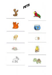 English worksheet: PETS