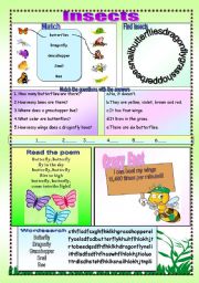 English Worksheet: Insects