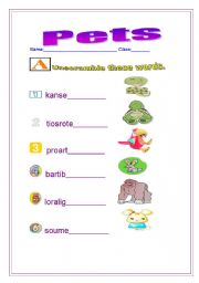 English worksheet: Pets