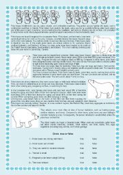 English Worksheet: POLAR BEARS - READING COMPREHENSION + 5 DIFFERENT EXERCISES