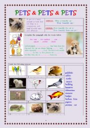 pets & pets & pets (edited worksheet)