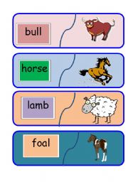 English Worksheet: animal word to picture matching game 3