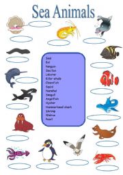 English Worksheet: Sea animals