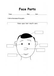 English worksheet: Face parts