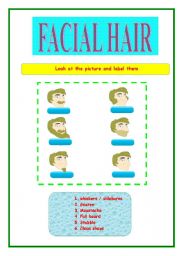 English Worksheet: FACIAL HAIR