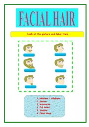 English worksheet: FACIAL HAIR