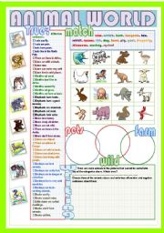 English Worksheet: Animal world