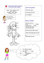 English Worksheet: have/has got