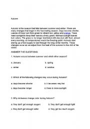 English Worksheet: reading comprehension